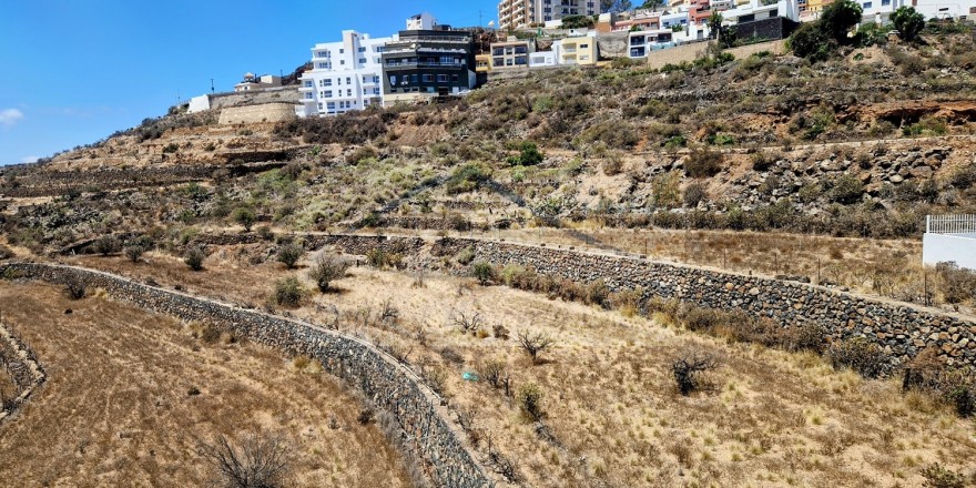 Granadilla007