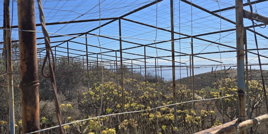 WhatsApp Image 2025-12-30 at 10.10.54