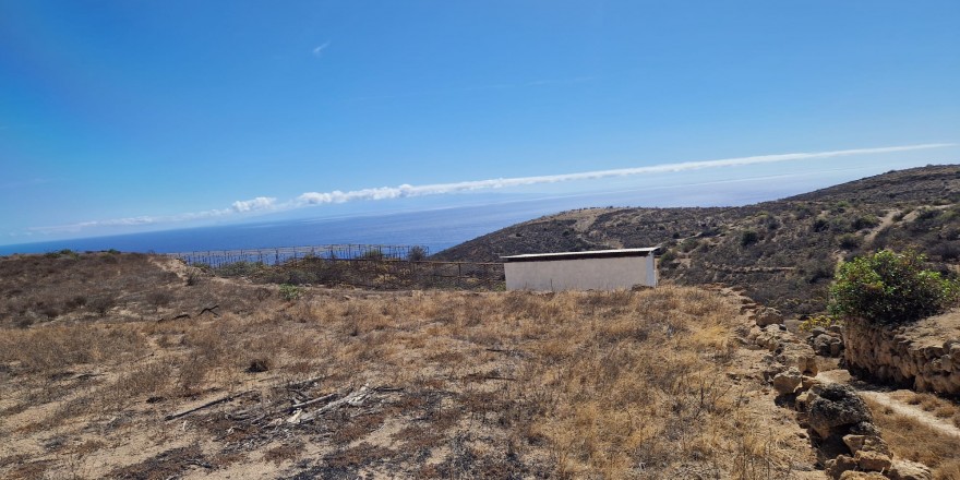 WhatsApp Image 2026-01-06 at 16.32.46