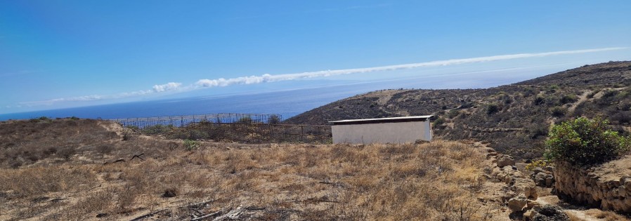 WhatsApp Image 2026-01-06 at 16.32.46