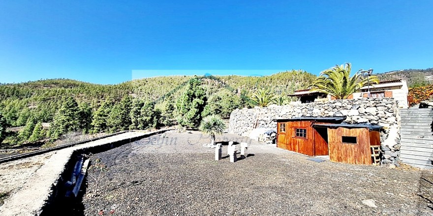 terraza con bosque alrededor