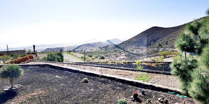 terreno para cultivo en venta